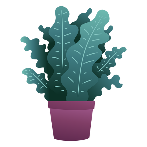 Bonita planta em vaso Desenho PNG