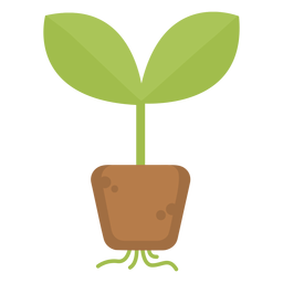 Raíces de plantas lindas Diseño PNG