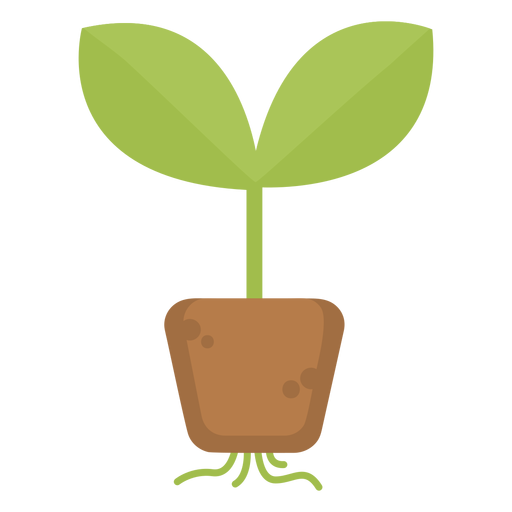 Cute plant roots PNG Design