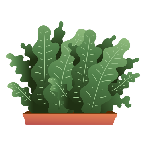 Green plant box PNG Design