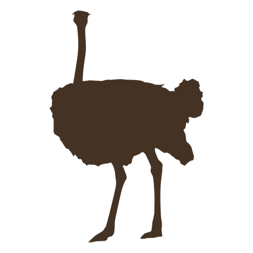 Gran silueta de avestruz Diseño PNG