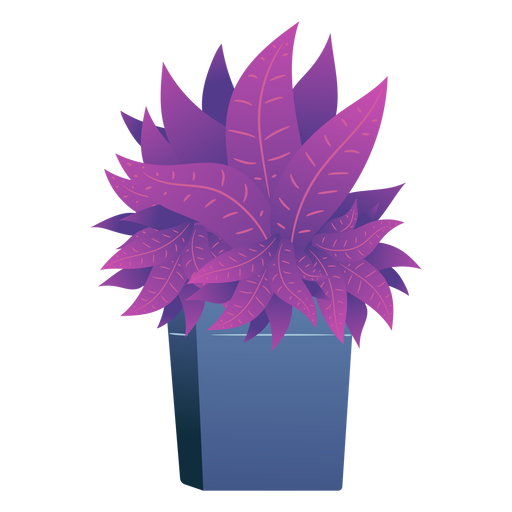 Caja de plantas animadas Diseño PNG