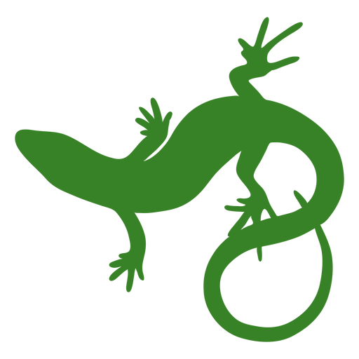 Lizard Silhouette Top View Transparent Png Svg Vector File