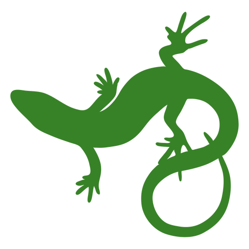 Vista superior de silhueta de lagarto Desenho PNG