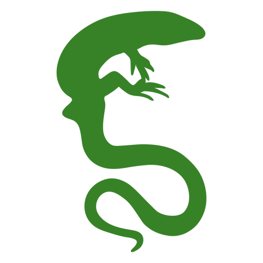 Silhueta de lagarto de cauda longa Desenho PNG