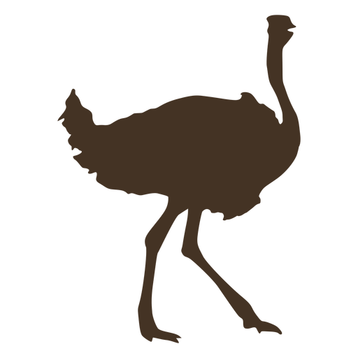 Vista lateral da silhueta de avestruz Desenho PNG