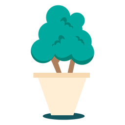 Planta bonsai lindo Diseño PNG