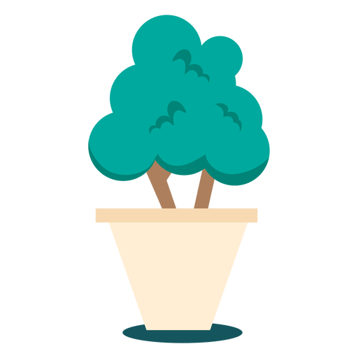 Planta bonsai lindo Diseño PNG