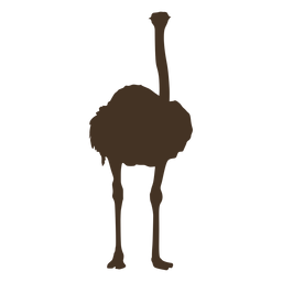 Download Ostrich animal cartoon - Vector download
