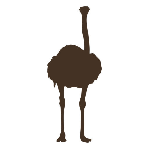 Silhueta de avestruz alta Desenho PNG