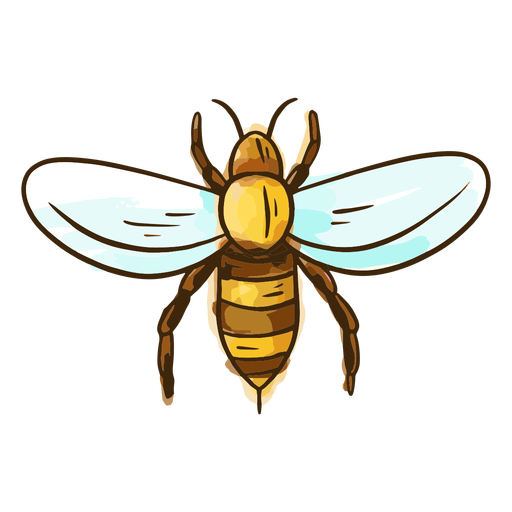 Cute honey bee PNG Design