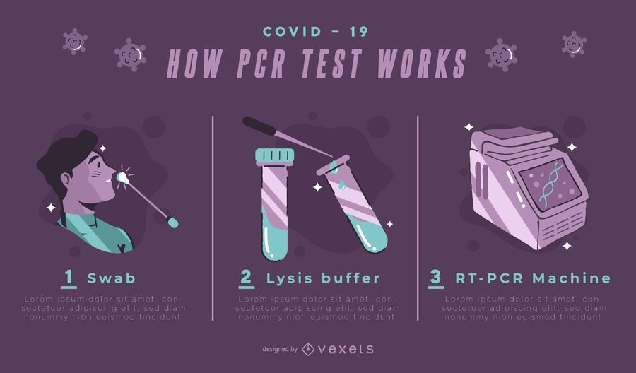 Plantilla De Infografía De Prueba De PCR Covid19 Descargar Vector