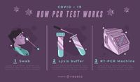 Covid 19 PCR Test Infographic Template Vector Download