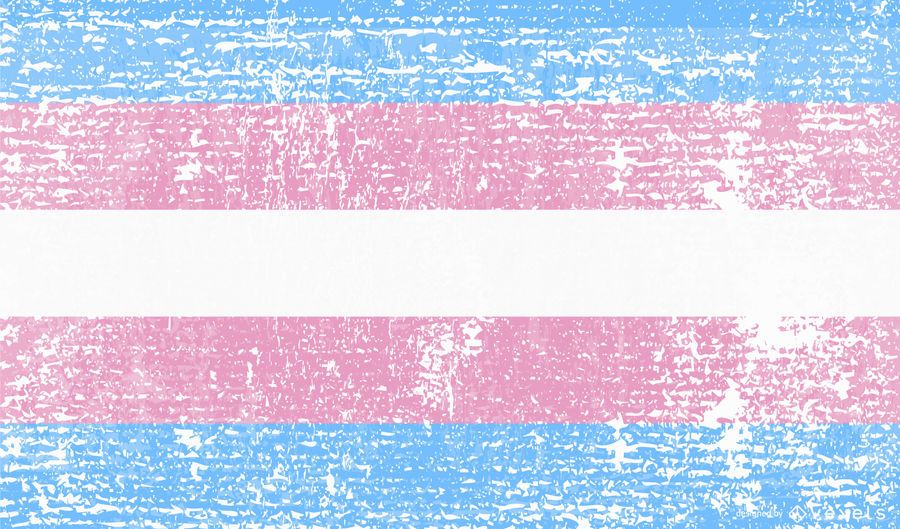 Transgender pride flag grunge Transgender pride flag grunge