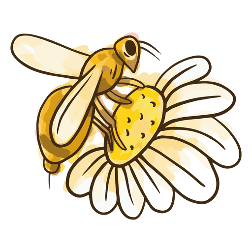 Download Watercolor bee flower - Transparent PNG & SVG vector file