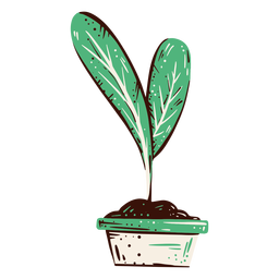 Plant bud illustration element PNG Design