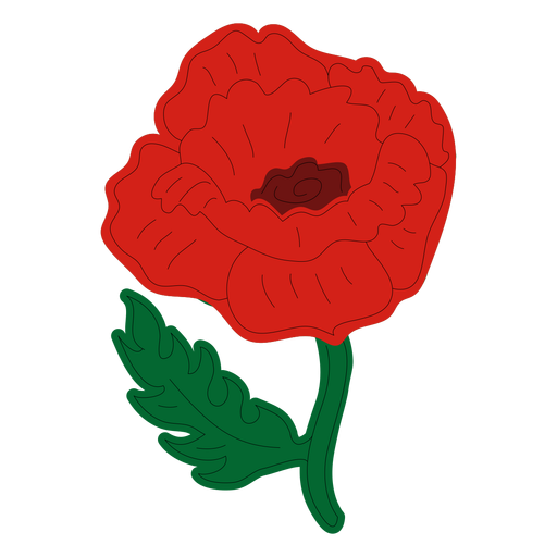 Poppy flower front view PNG Design