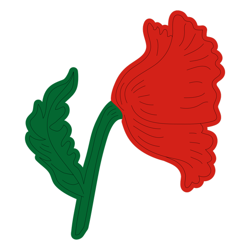 Vista lateral izquierda de la flor de amapola Diseño PNG