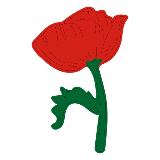 Poppy flower PNG Design