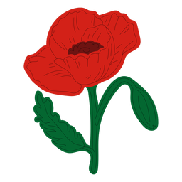 Dibujo a mano de flor de amapola Diseño PNG