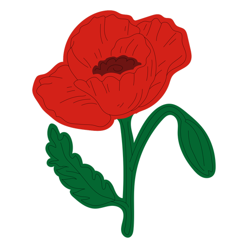 Download Poppy Flower Hand Drawing Transparent Png Svg Vector File