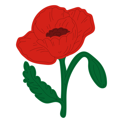 Poppy flower hand drawing PNG Design