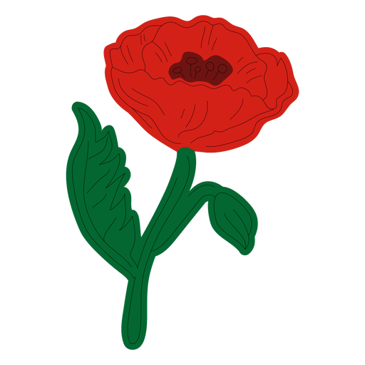 Rote Mohnblume PNG-Design