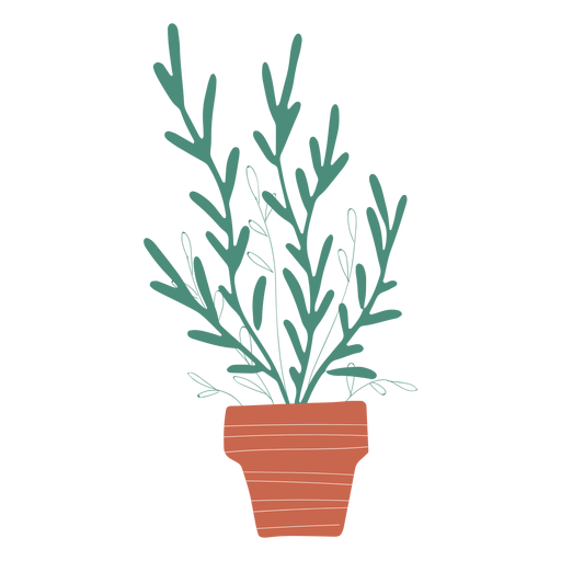Ilustração de planta de decoração em vaso Desenho PNG