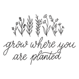 Inspirational quote lettering PNG Design Transparent PNG