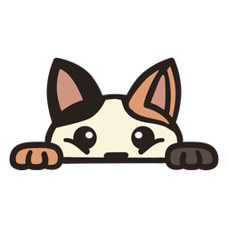 Peekaboo lindo gato plano Diseño PNG