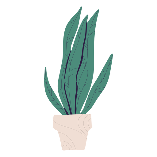 Plant in pot illustration - Transparent PNG & SVG vector file