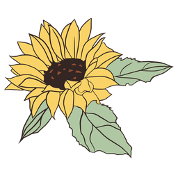 Girassol bonito desenhado à mão Desenho PNG
