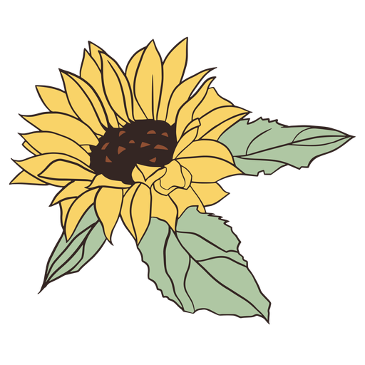 H?bsche handgezeichnete Sonnenblume PNG-Design