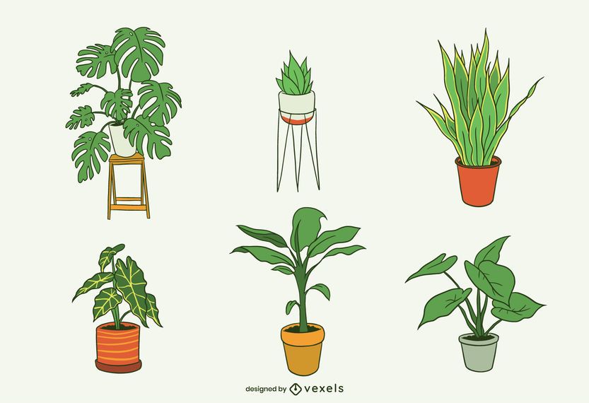 Paquete de ilustración de plantas de la casa Paquete de ilustración de plantas de la casa