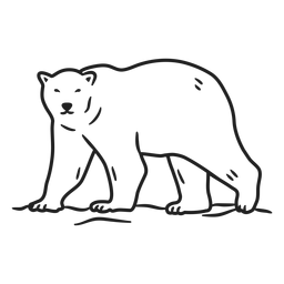 Traço de urso rabisco Desenho PNG