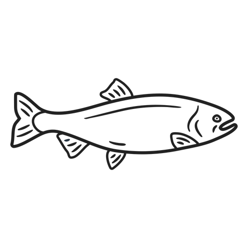 Doodle fish stroke - Transparent PNG & SVG vector file