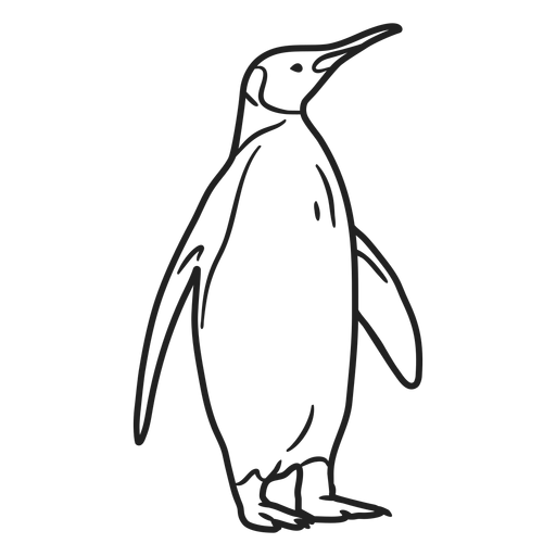 Doodle de trazo de pingüino Diseño PNG