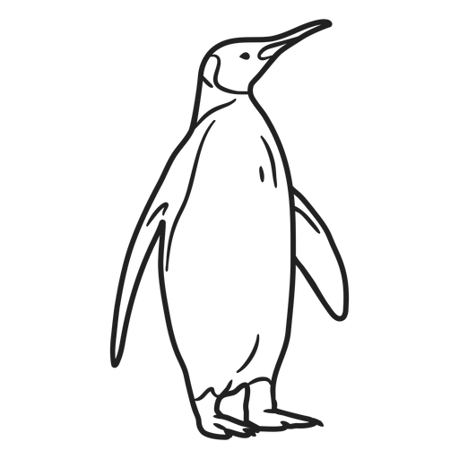 Traço de pinguim rabisco Desenho PNG