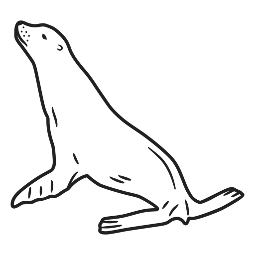 Doodle Seal Hub PNG-Design