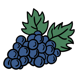 Cacho de uvas desenhado à mão Desenho PNG