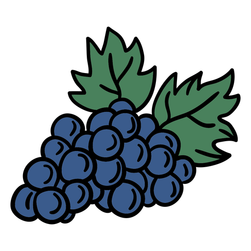 Grapes bunch hand drawn PNG Design
