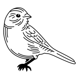 Pardalzinho de pássaro Desenho PNG