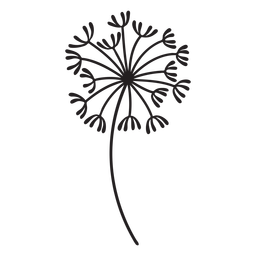 Dente-de-leão brotando de várias variedades Desenho PNG