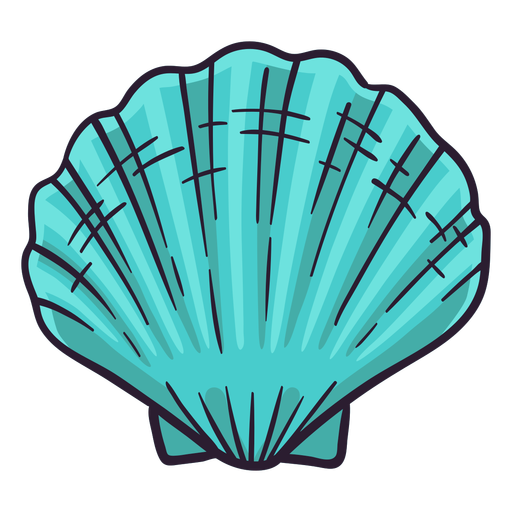 Mão de vieira de conchas do mar desenhada - Baixar PNG/SVG Transparente