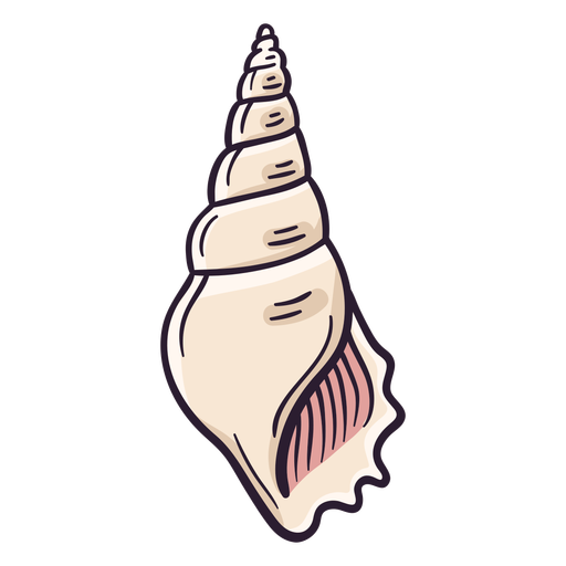Dibujado a mano conchas marinas cerith Diseño PNG