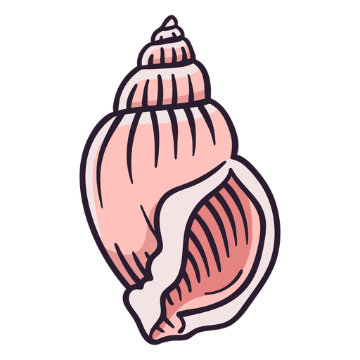 Dibujado a mano conchas marinas scotch bonnet Diseño PNG