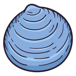 Seashells semele hand drawn PNG Design