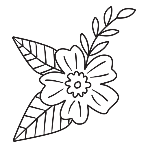 Frühlingsblumenzweigstrich PNG-Design