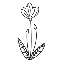 Broto de folhas de botões de flores de primavera Desenho PNG