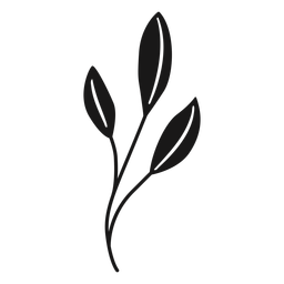 Folhas de primavera finas Desenho PNG